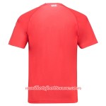 Maillot/Tenue Suisse Domicile Coupe du monde 2018